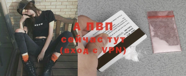 эйфоретик Липки