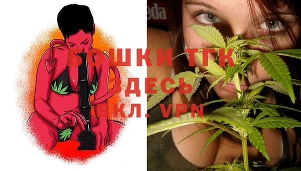 эйфоретик Липки