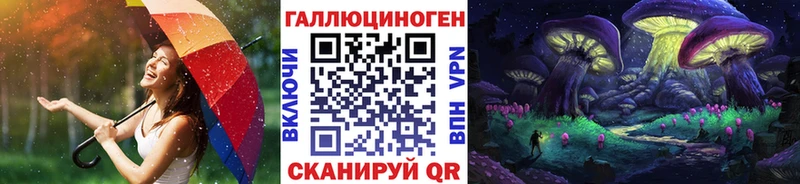 Галлюциногенные грибы Psilocybine cubensis  Купить где  Петропавловск-Камчатский 